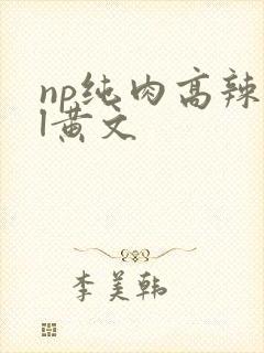 np纯肉高辣bl黄文