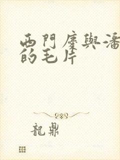 西门庆与潘金莲的毛片