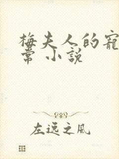 梅夫人的宠夫日常 小说