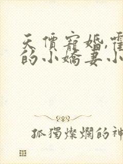 天价宠婚,霍总的小娇妻小说