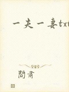 一夫一妻txt