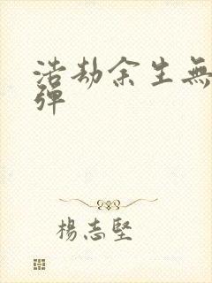 浩劫余生无限子弹