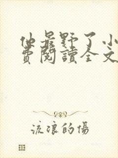 他最野了小说免费阅读全文