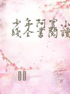 少年阿宾小说在线全书阅读无弹窗免费