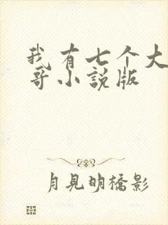 我有七个大佬哥哥小说版