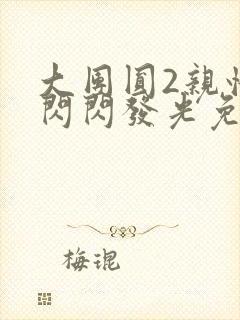 大团圆2亲情会闪闪发光免费