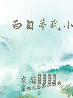 白日梦我小说