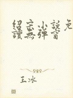 绍宋小说免费阅读无弹窗