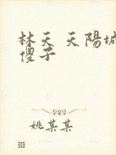 林天 天阳城 傻子