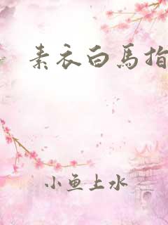 素衣白马指天下