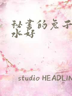 秘书的兔子好软水好