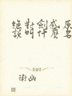 绝对剑感原著小说叫什么名字