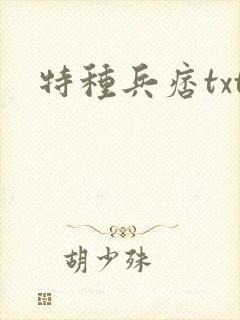 特种兵痞txt