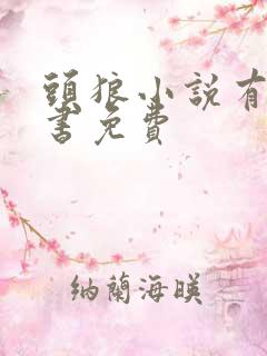 头狼小说有声听书免费