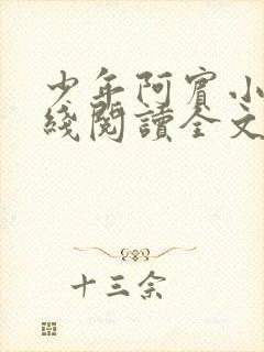 少年阿宾小说在线阅读全文无删减