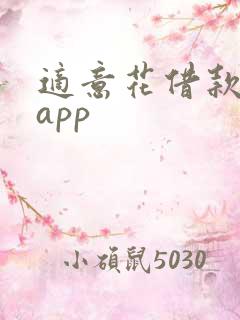 适意花借款平台app