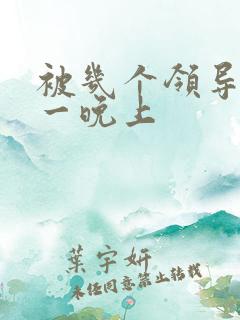 被几个领导玩弄一晚上