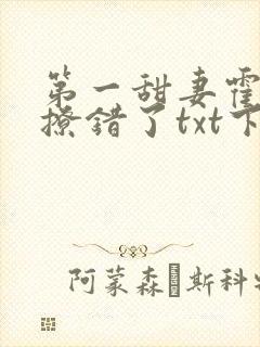 第一甜妻霍先生撩错了txt下载