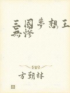 三国梦想王元姬无惨