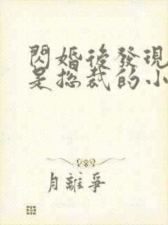 闪婚后发现老公是总裁的小说