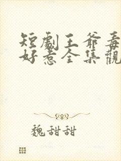 短剧王爷毒妃不好惹全集观看