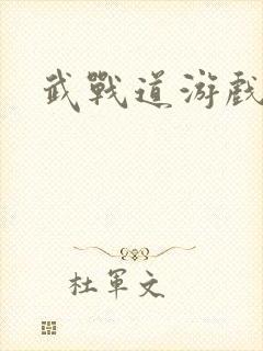 武战道游戏