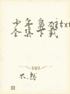 少年枭雄txt全集下载