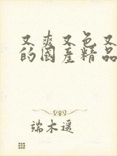 又爽又色又高潮的国产精品