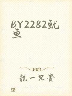 BY2282鱿鱼