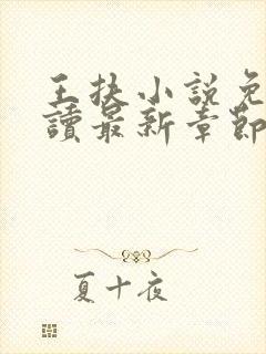 王扶小说免费阅读最新章节无弹窗