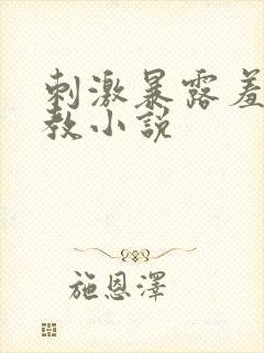 刺激暴露羞耻调教小说