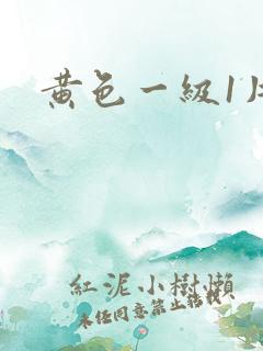 黄色一级1片