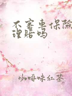 不审车保险公司理赔吗