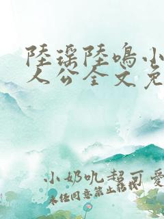 陆瑶陆鸣小说主人公全文免费阅读