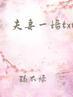 夫妻一场txt