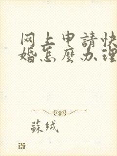 网上申请快速离婚怎么办理