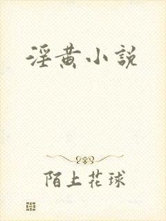 淫黄小说