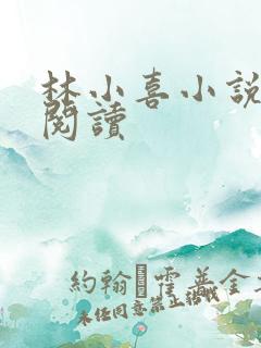 林小喜小说在线阅读