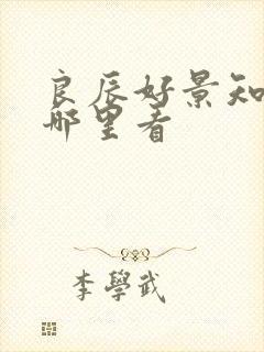 良辰好景知几何哪里看