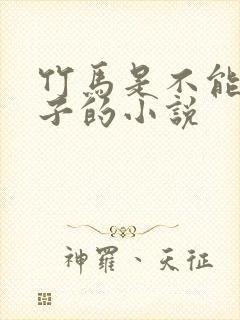 竹马是不能当妻子的小说