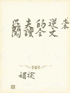 匹夫的逆袭免费阅读全文