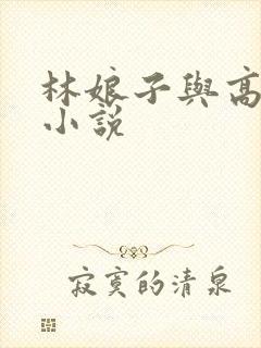 林娘子与高衙内小说