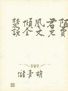 楚倾凰君陌尘小说全文免费阅读