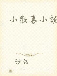 小欢喜小说