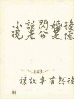 小说闪婚后,发现老公是亿万总裁免费阅读