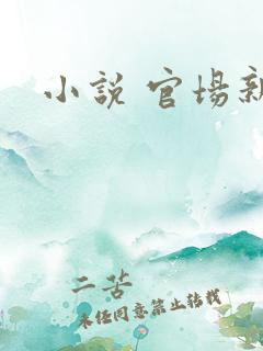 小说 官场新贵