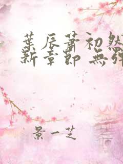 叶辰萧初然 最新章节 无弹窗