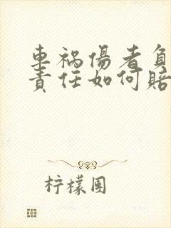 车祸伤者负主要责任如何赔偿