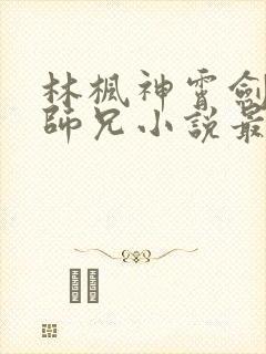 林枫神霄剑宗大师兄小说最新章节