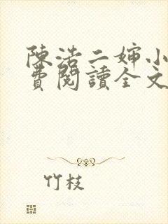 陈浩二婶小说免费阅读全文最新版